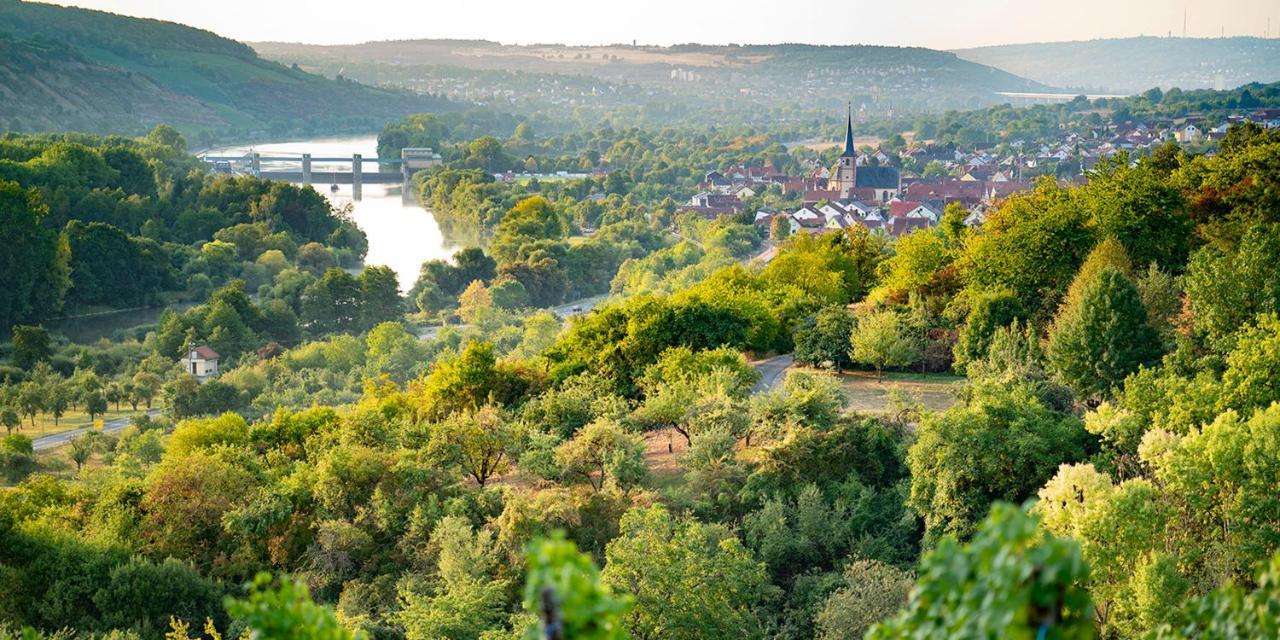 Weingut Martin Blass Erlabrunn  Bagian luar foto