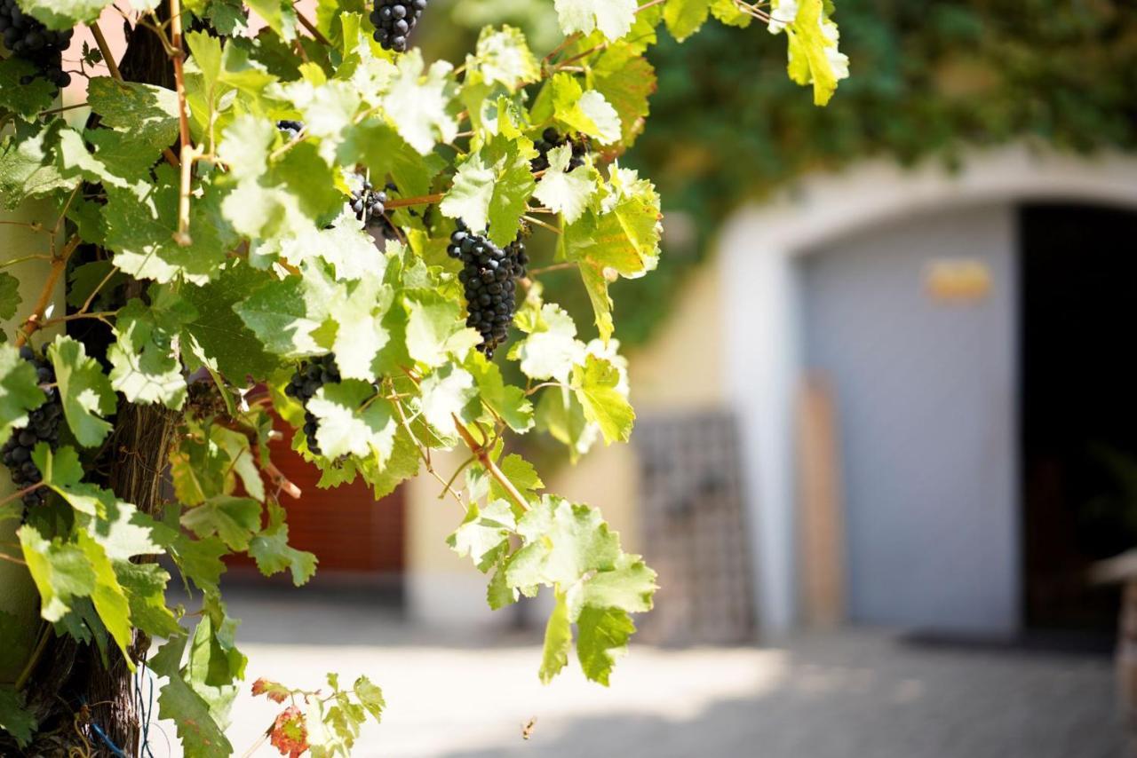 Weingut Martin Blass Erlabrunn  Bagian luar foto